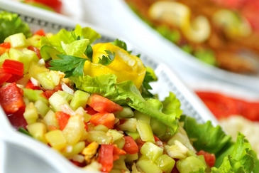 vegetarische catering